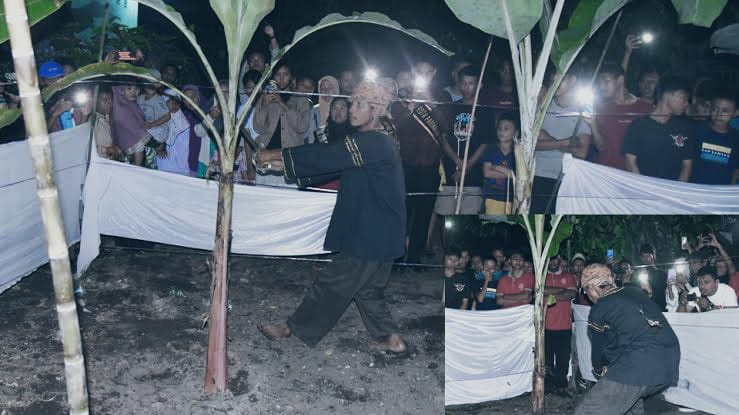 Ritual Manabang Batang Pisang dalam Sejarah Tabuik Pariaman